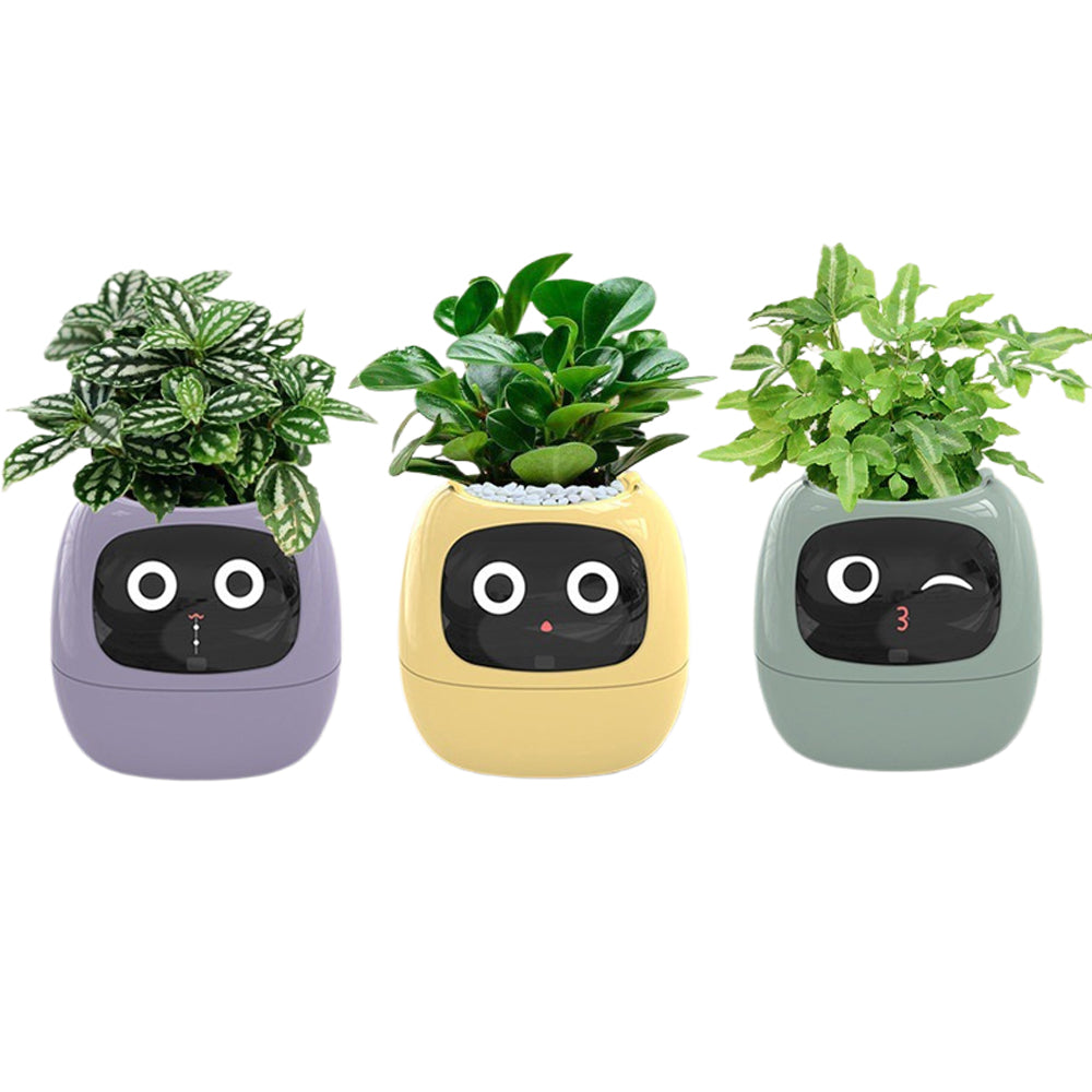 Novara Smart Self-Watering Indoor Plant Pot with App & Emoji Health Alerts