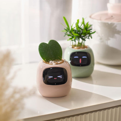 Novara Smart Self-Watering Indoor Plant Pot with App & Emoji Health Alerts