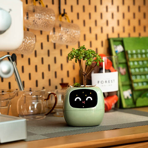 Novara Smart Self-Watering Indoor Plant Pot with App & Emoji Health Alerts