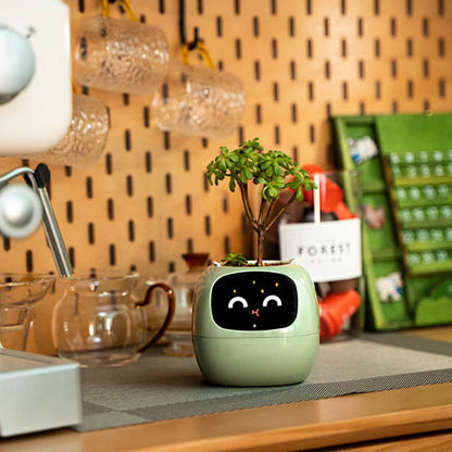 Novara Smart Self-Watering Indoor Plant Pot with App & Emoji Health Alerts