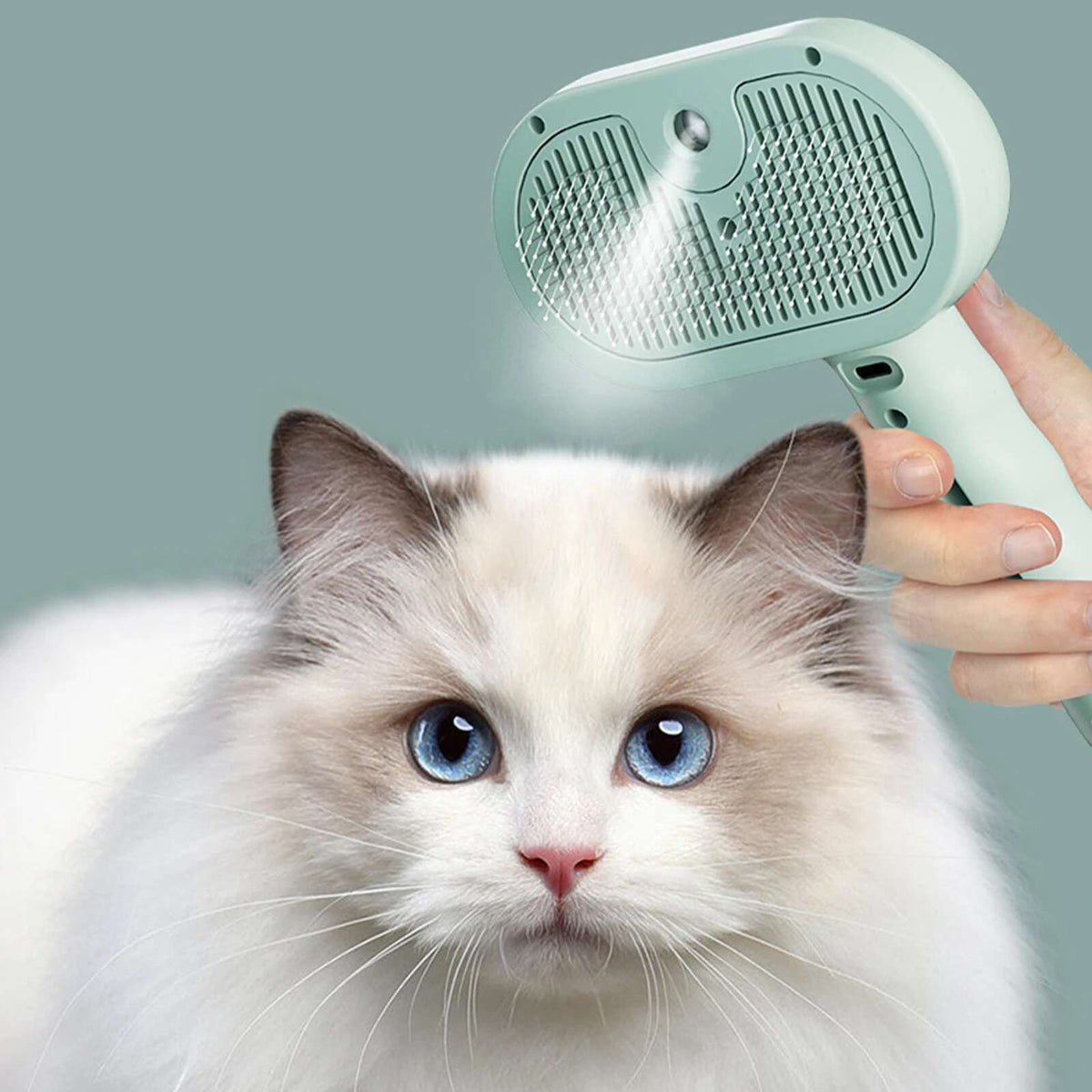 Royora Self Cleaning Pet Grooming Brush And Steam Cat Brush Massage Comb