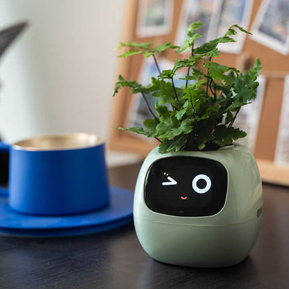 Novara Smart Self-Watering Indoor Plant Pot with App & Emoji Health Alerts