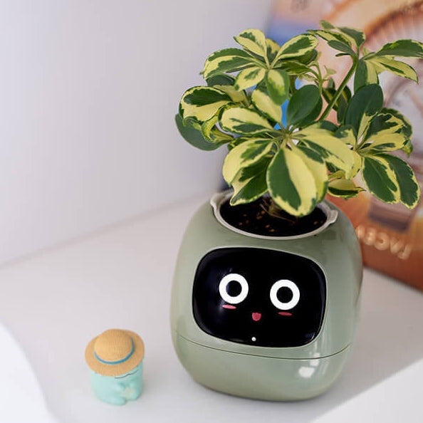 Novara Smart Self-Watering Indoor Plant Pot with App & Emoji Health Alerts