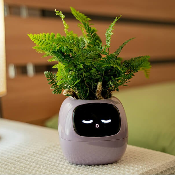 Novara Smart Self-Watering Indoor Plant Pot with App & Emoji Health Alerts