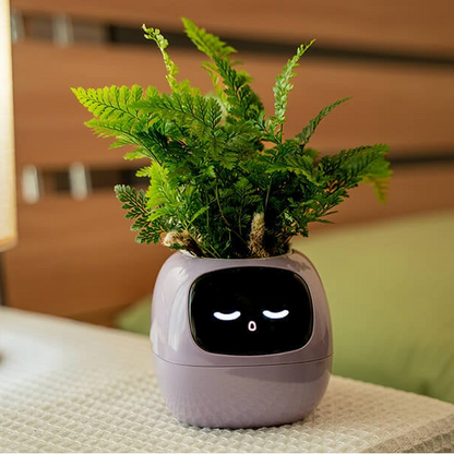 Novara Smart Self-Watering Indoor Plant Pot with App & Emoji Health Alerts