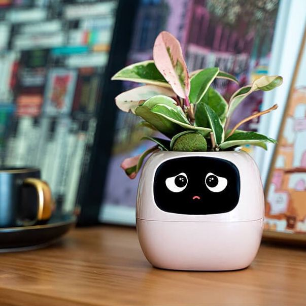 Novara Smart Self-Watering Indoor Plant Pot with App & Emoji Health Alerts