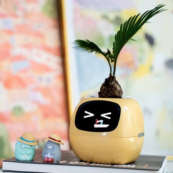 Novara Smart Self-Watering Indoor Plant Pot with App & Emoji Health Alerts