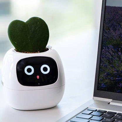 Novara Smart Self-Watering Indoor Plant Pot with App & Emoji Health Alerts