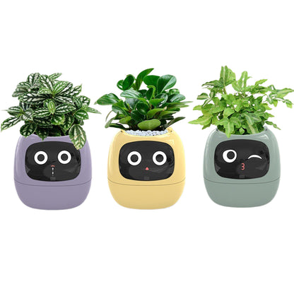 Novara Smart Self-Watering Indoor Plant Pot with App & Emoji Health Alerts