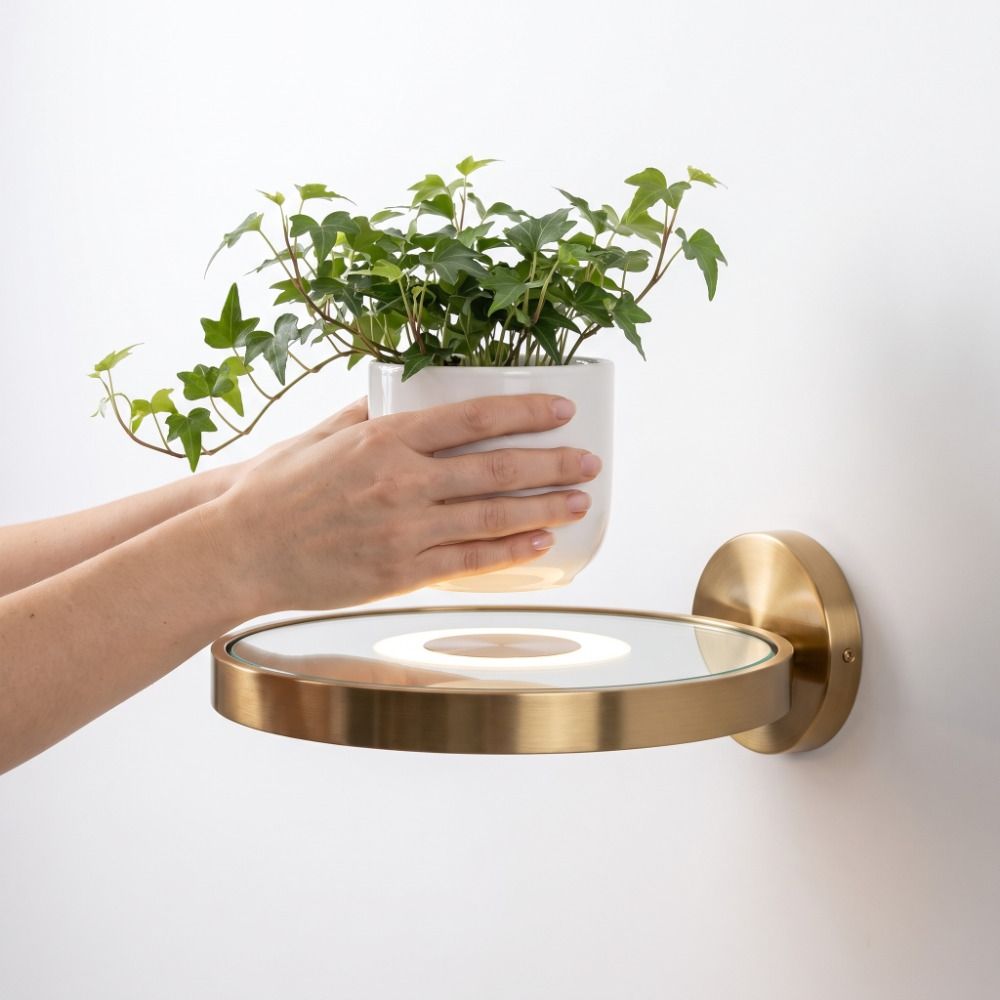 Royeva Round LED Floating Wall Shelf With Warm Lighting For Plants