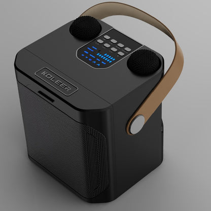 Royeva Portable Bluetooth Karaoke Speaker With 360 Surround Sound