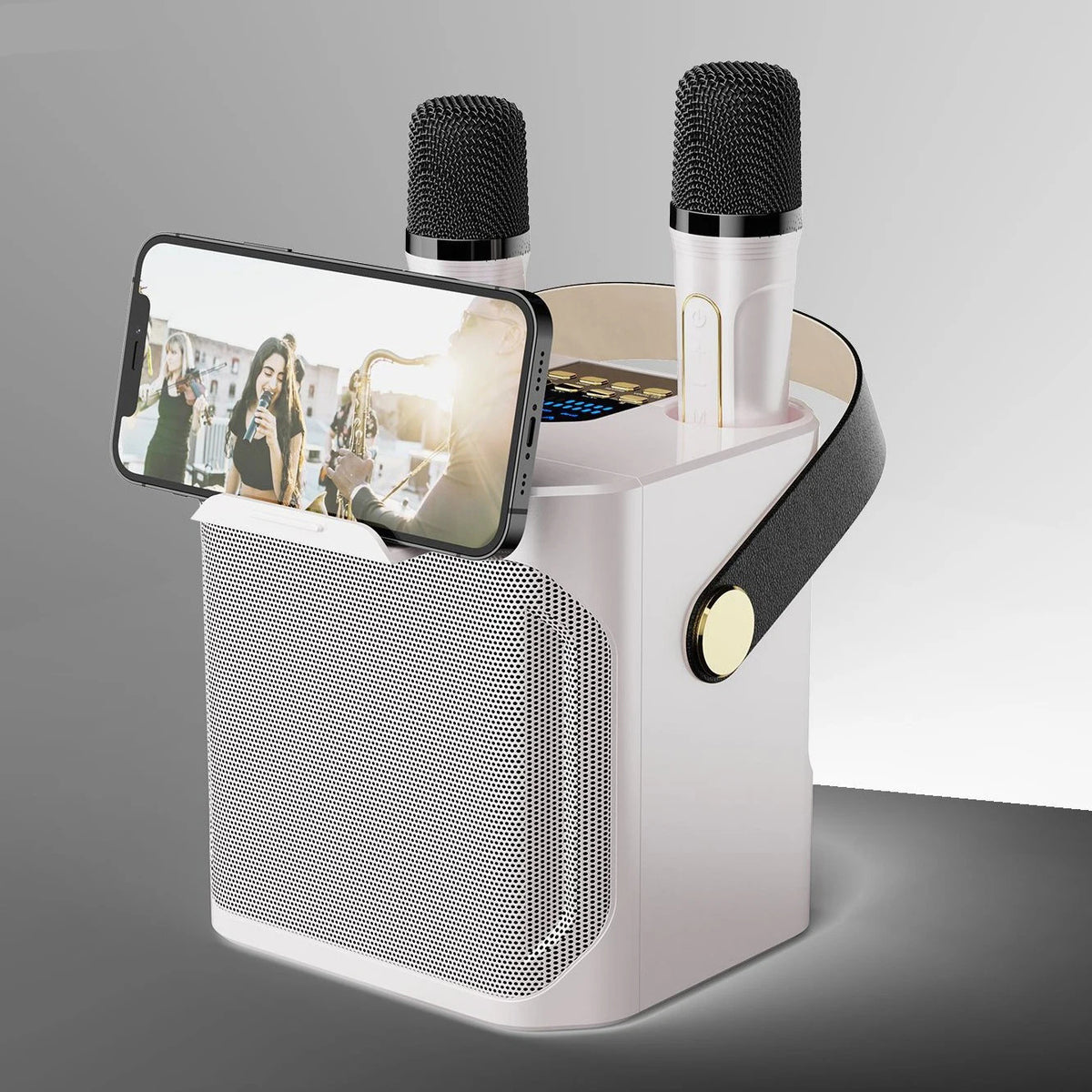 Royeva Portable Bluetooth Karaoke Speaker With 360 Surround Sound