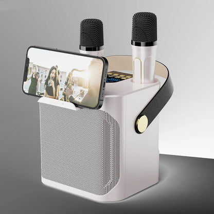 Royeva Portable Bluetooth Karaoke Speaker With 360 Surround Sound