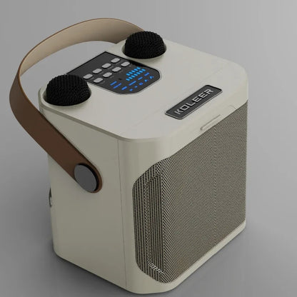 Royeva Portable Bluetooth Karaoke Speaker With 360 Surround Sound