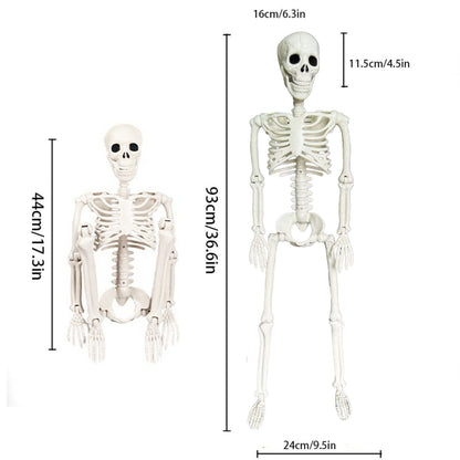 Royeva Posable Halloween Skeleton-Outdoor Yard Decoration