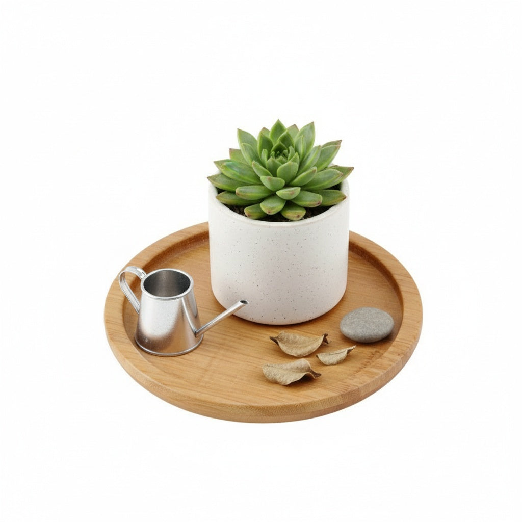 Novara Bamboo Coaster & Snack Trays Set - Minimalist Round Serving Platters