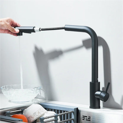 Royora Stainless Steel Pull-Out Kitchen Faucet with Dual Mode Spray & Mixer Tap