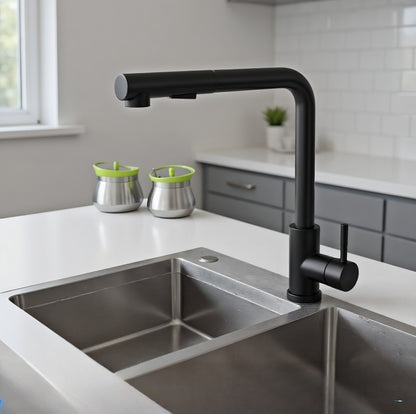 Royora Stainless Steel Pull-Out Kitchen Faucet with Dual Mode Spray & Mixer Tap