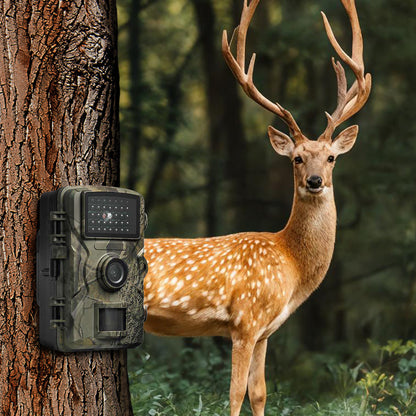 Royeva Wildlife Trail Camera-Waterproof Night Vision Scouting Camera