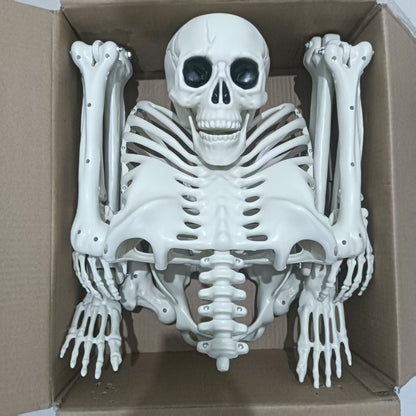 Royeva Posable Halloween Skeleton-Outdoor Yard Decoration