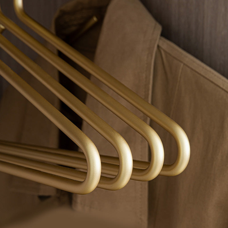 Royeva Matte Gold Non Slip Clothes Hanger-Set Of 5 Space Saving Closet Organizers