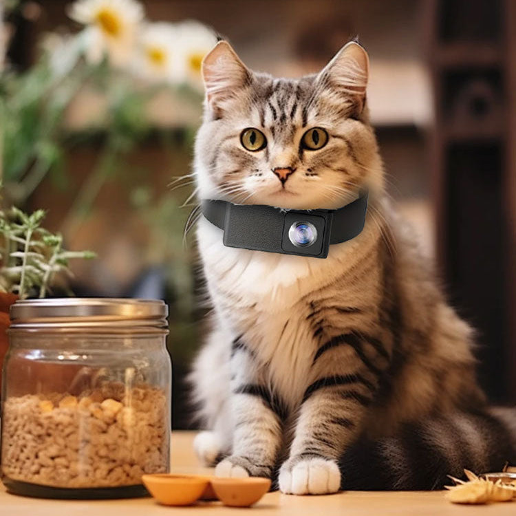 Novara 1080P HD Portable Pet Collar Camera-Wide Angle Dog Cat POV Video Recorder