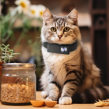 Novara 1080P HD Portable Pet Collar Camera-Wide Angle Dog Cat POV Video Recorder
