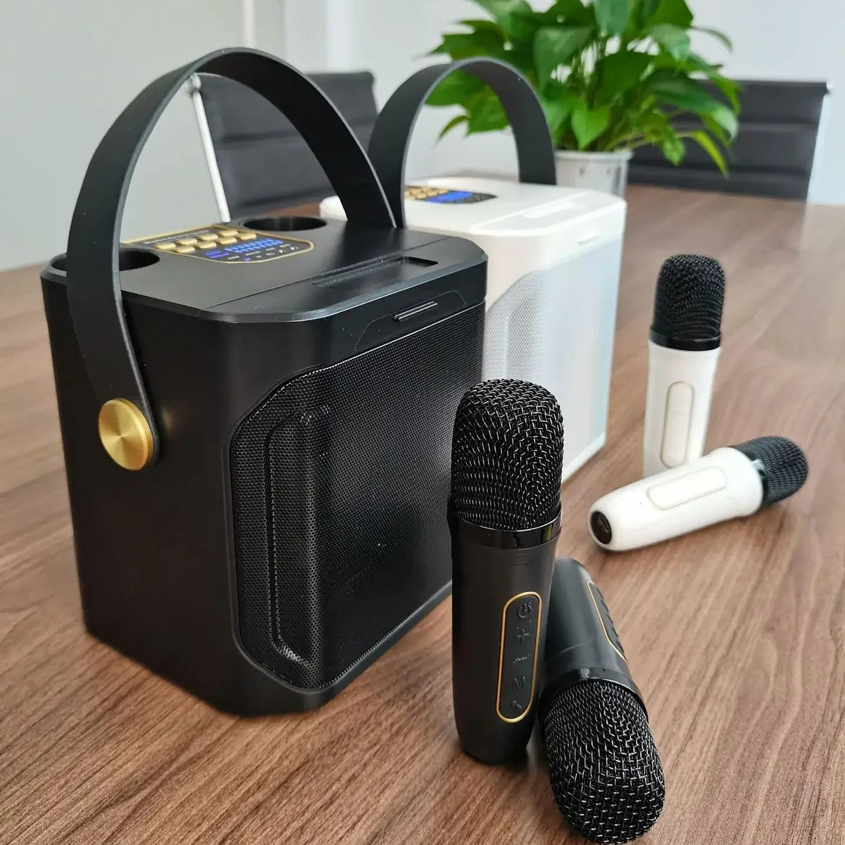 Royeva Portable Bluetooth Karaoke Speaker With 360 Surround Sound