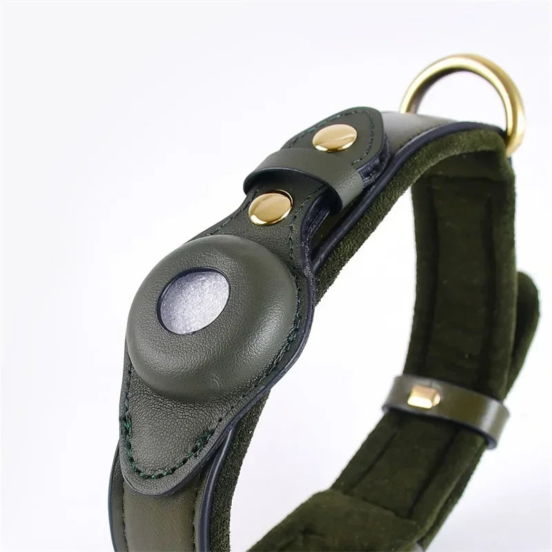 Royeva GPS Dog Collar With Worldwide Tracking And No Subscription Required