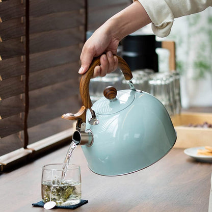 Sovere 3L Stainless Steel Tea Kettle with Whistle, Heat Resistant Handle & Fast Boiling Design