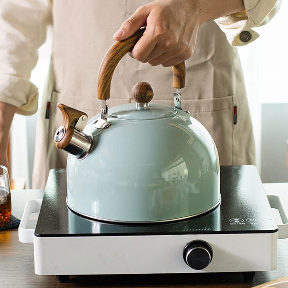 Sovere 3L Stainless Steel Tea Kettle with Whistle, Heat Resistant Handle & Fast Boiling Design