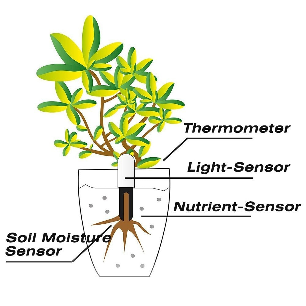Royeva Smart Plant Health Sensor And Soil Moisture Water Meter