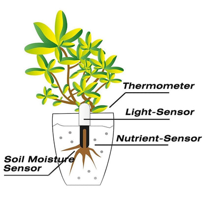 Royeva Smart Plant Health Sensor And Soil Moisture Water Meter