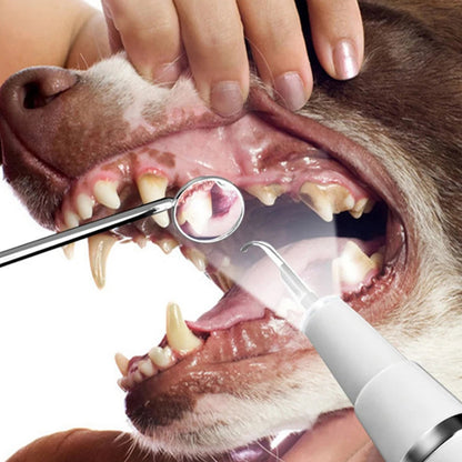 Novara Pet Ultrasonic Dental Scaler & Plaque Remover for Dogs & Cats with LED Light