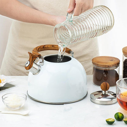 Sovere 3L Stainless Steel Tea Kettle with Whistle, Heat Resistant Handle & Fast Boiling Design