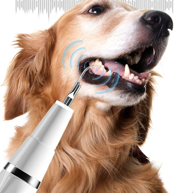 Novara Pet Ultrasonic Dental Scaler & Plaque Remover for Dogs & Cats with LED Light