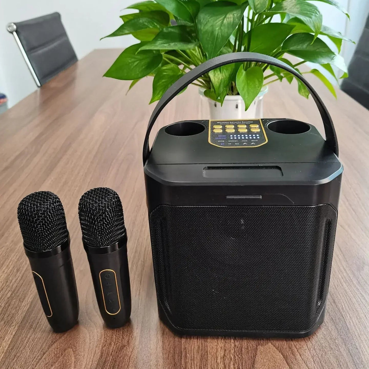 Royeva Portable Bluetooth Karaoke Speaker With 360 Surround Sound