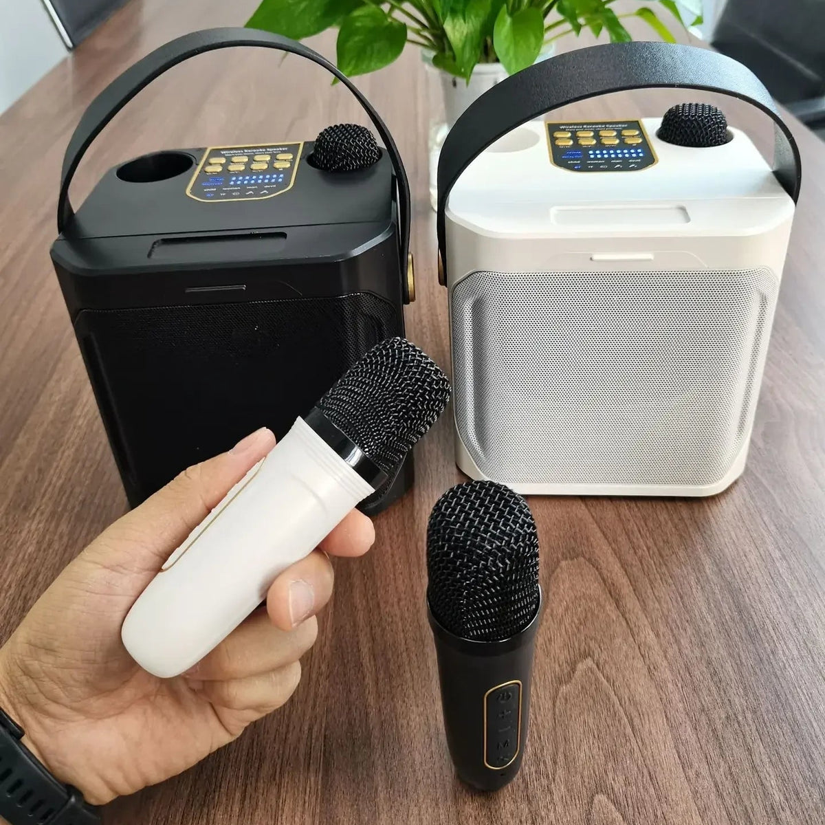 Royeva Portable Bluetooth Karaoke Speaker With 360 Surround Sound