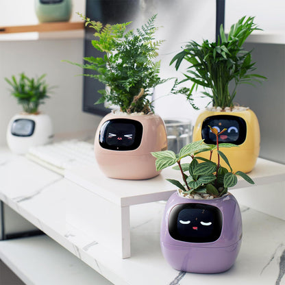 Novara Smart Self-Watering Indoor Plant Pot with App & Emoji Health Alerts