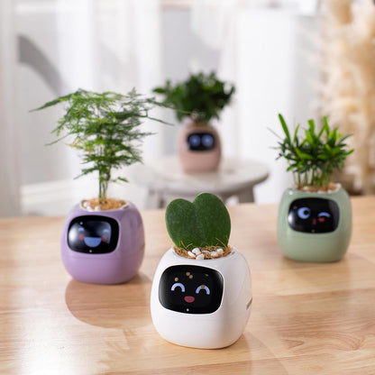 Novara Smart Self-Watering Indoor Plant Pot with App & Emoji Health Alerts