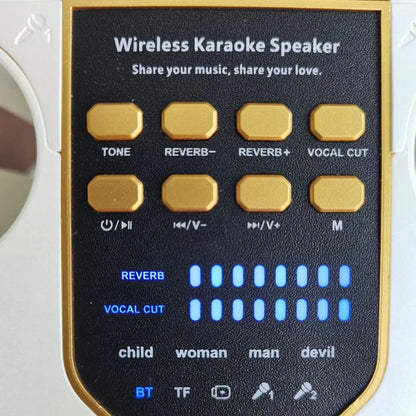 Royeva Portable Bluetooth Karaoke Speaker With 360 Surround Sound