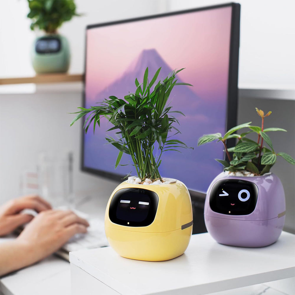 Novara Smart Self-Watering Indoor Plant Pot with App & Emoji Health Alerts