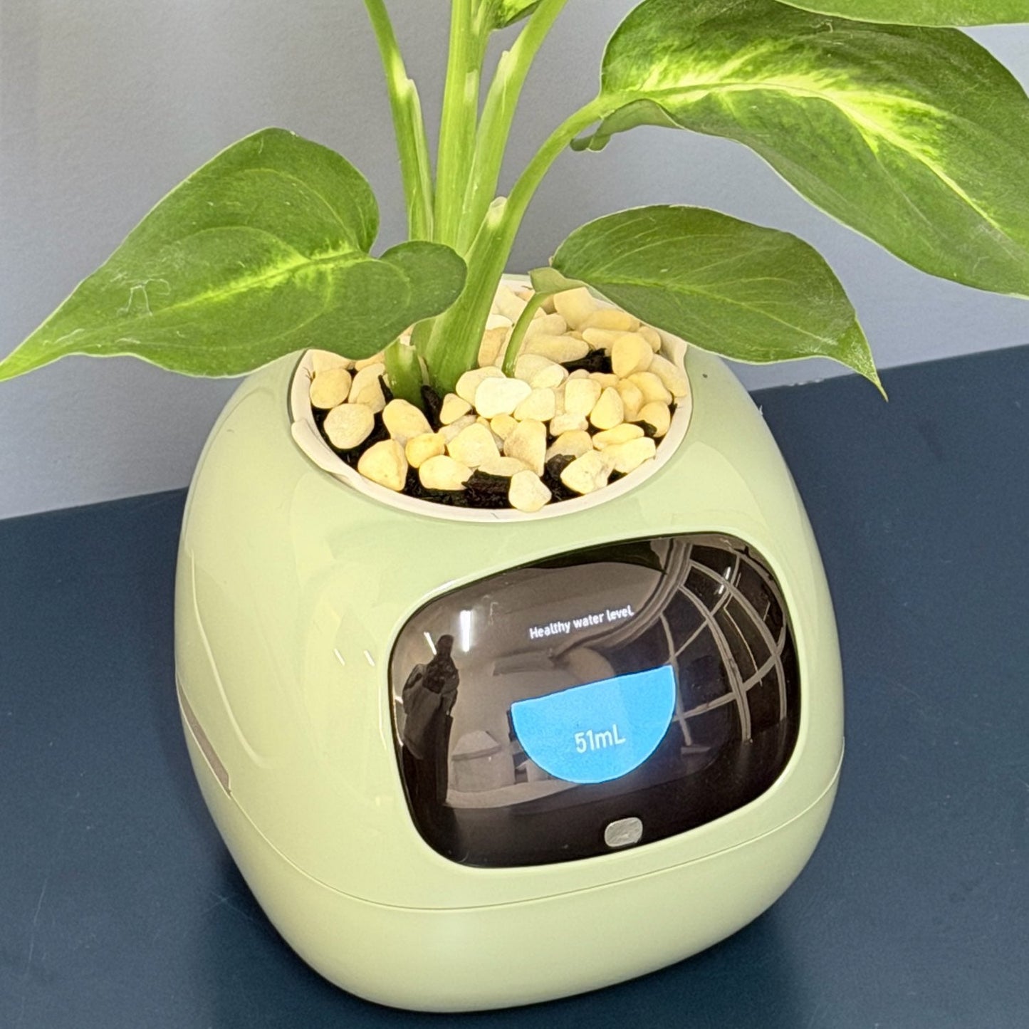 Novara Smart Self-Watering Indoor Plant Pot with App & Emoji Health Alerts