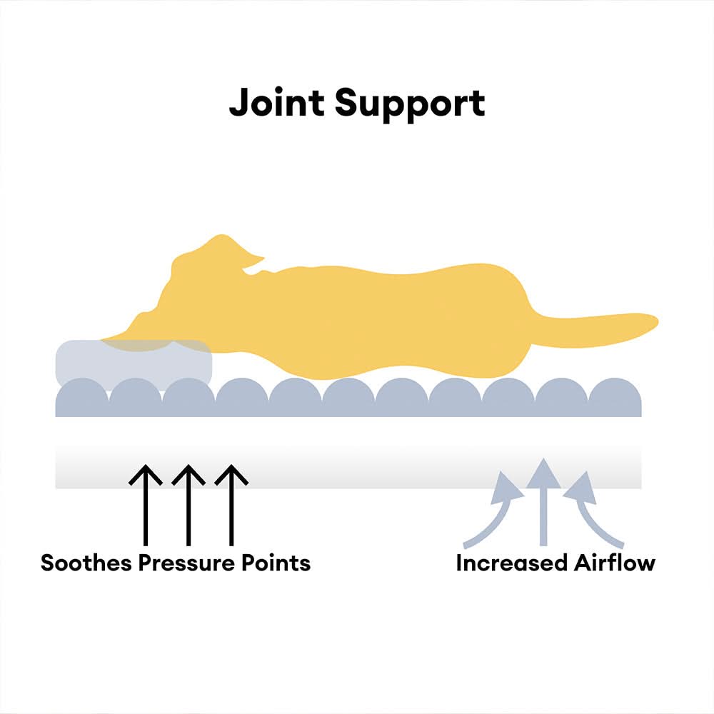 CanineComfort | Orthopedic Dog Bed with Memory Foam & Raised Headrest | Ultimate Support for Healthy Sleep 3