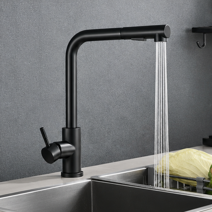 Royora Stainless Steel Pull-Out Kitchen Faucet with Dual Mode Spray & Mixer Tap