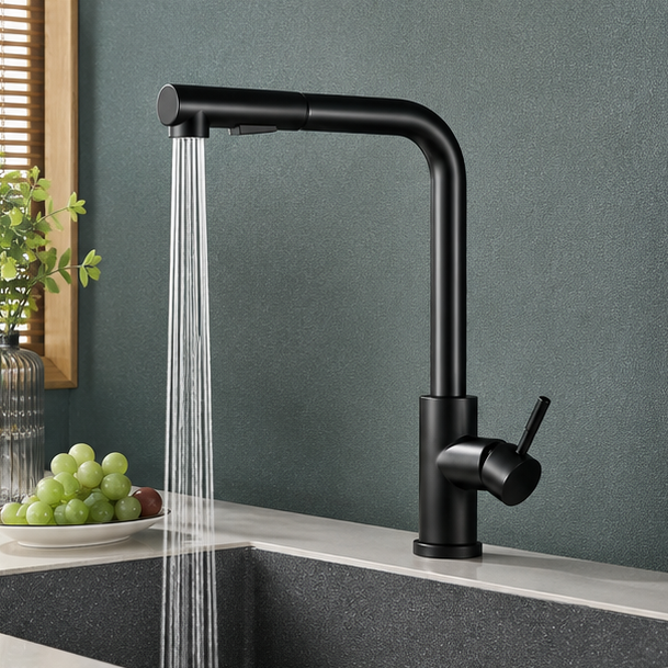 Royora Stainless Steel Pull-Out Kitchen Faucet with Dual Mode Spray & Mixer Tap