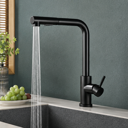 Royora Stainless Steel Pull-Out Kitchen Faucet with Dual Mode Spray & Mixer Tap