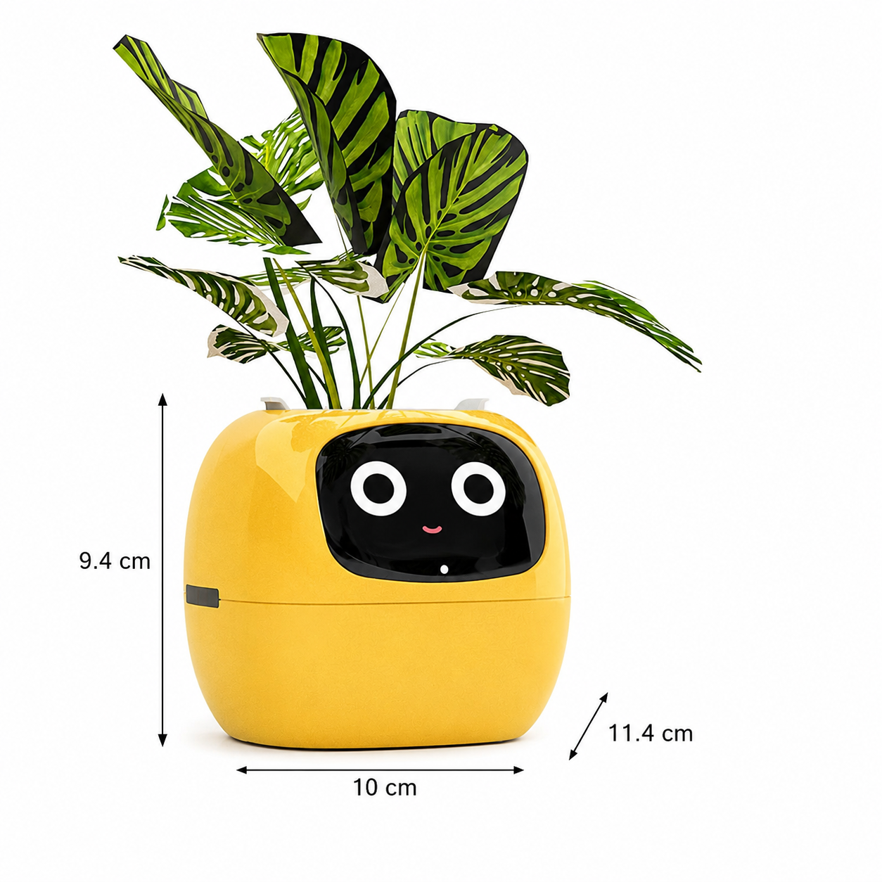 Novara Smart Self-Watering Indoor Plant Pot with App & Emoji Health Alerts
