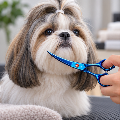 Royeva Professional Pet Grooming Scissors Kit-Rainbow Stainless Steel