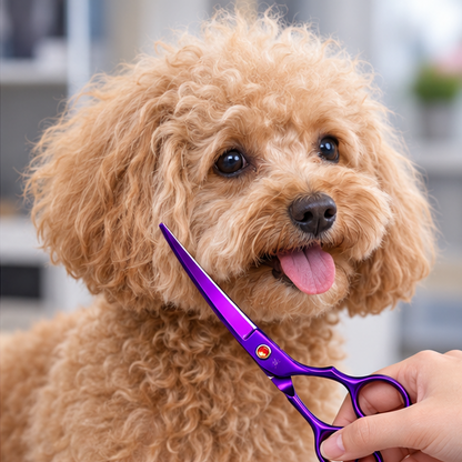 Royeva Professional Pet Grooming Scissors Kit-Rainbow Stainless Steel